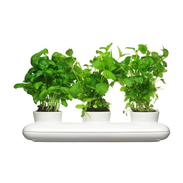 Porcelánový květináč na bylinky Sagaform Trio Herb