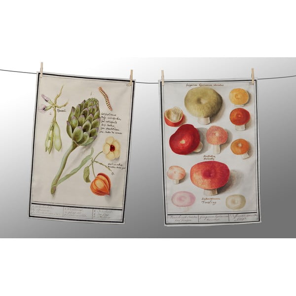 Комплект от 2 хавлиени кърпи с бельо , 50 x 70 cm Boletus - Tierra Bella