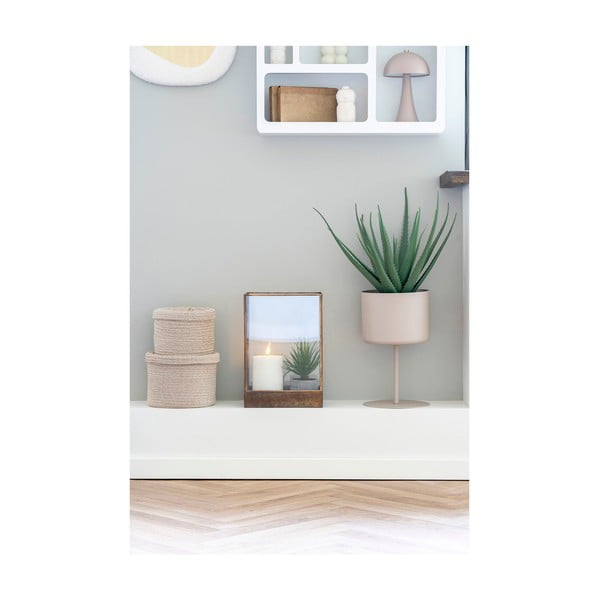 Изкуствено растение (височина 51 cm) Aloe Vera – House Nordic-image-2