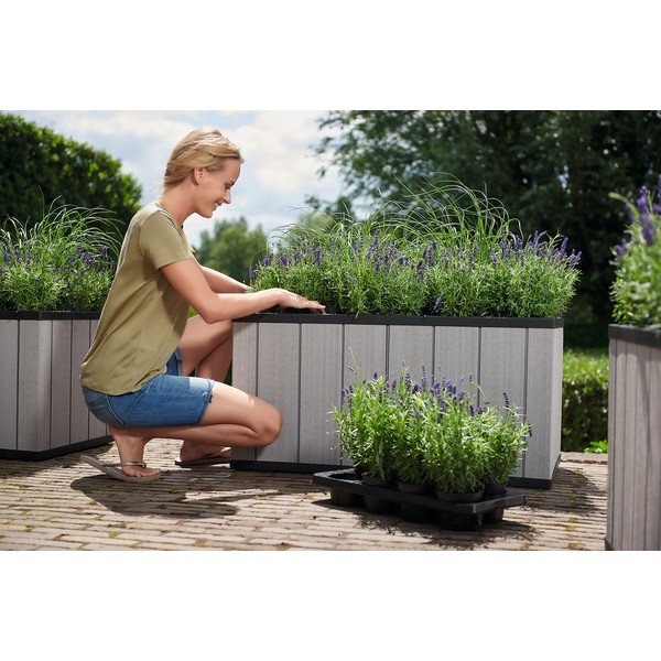 Повдигната леха Sequoia Duotech – Keter-image-3
