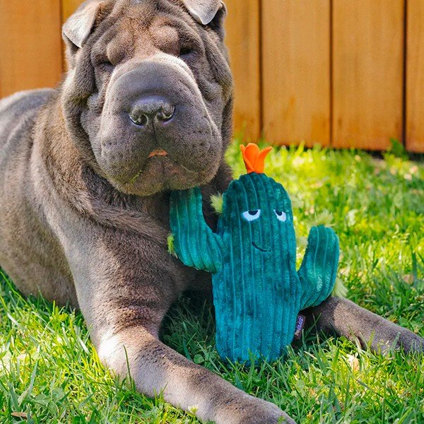 Играчка за куче Cactus - P.L.A.Y.-image-1
