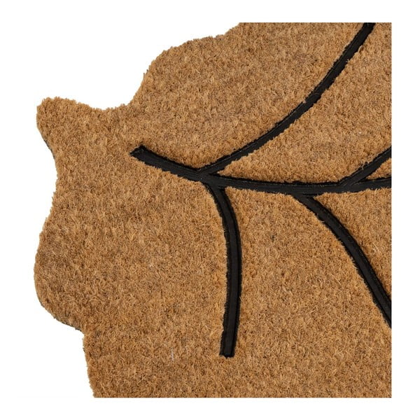 Изтривалка от кокосови влакна 45x75 cm Leaf – Casa Selección-image-3