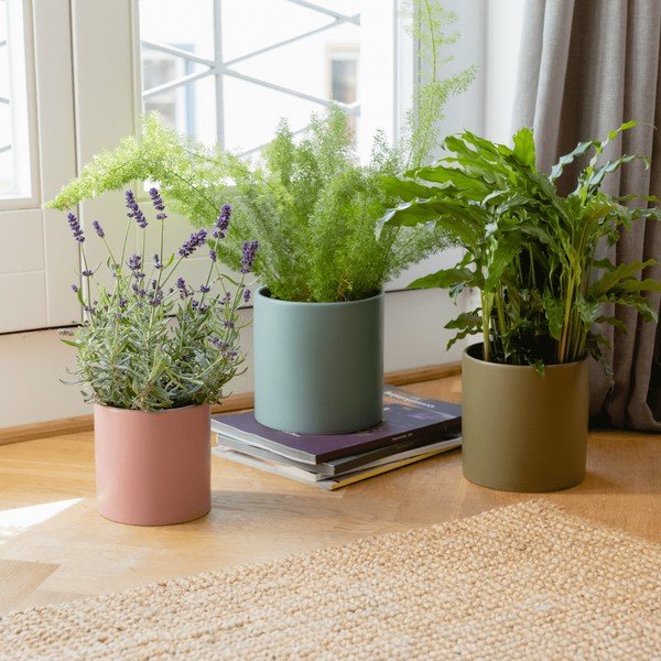 Комплект от 3 порцеланови саксии за билки ø 17 cm Turin - Remember-image-1