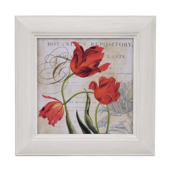 Obraz Ego Dekor Tulipán červený, 28 x 28 cm