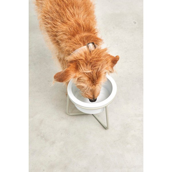 Порцеланова купа с основа за куче ø 20 cm Pranzo Greige M – MiaCara-image-3