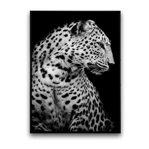 Plakát v dřevěném rámu Leopard