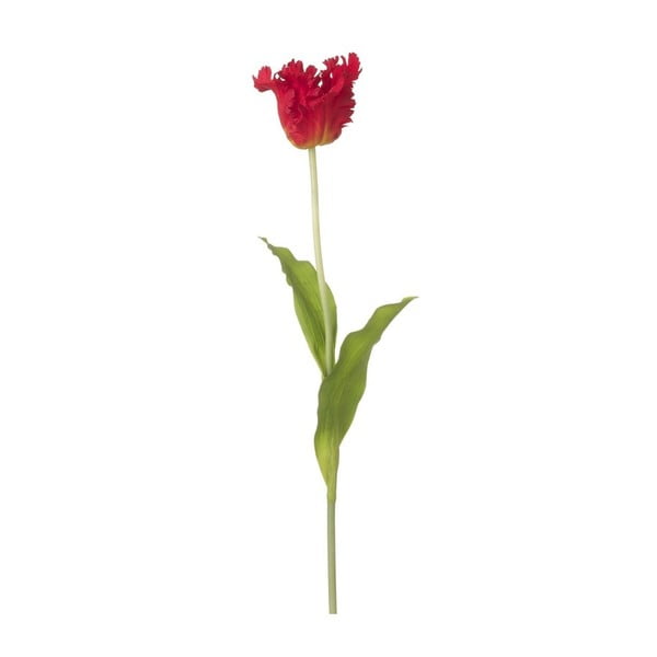 Červená dekorativní květina Heaven Sends Rulip