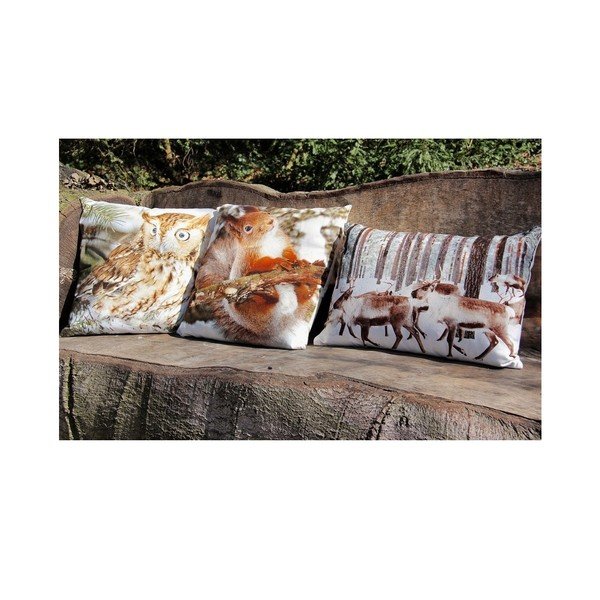 Polštář Owl 50x50 cm-image-3