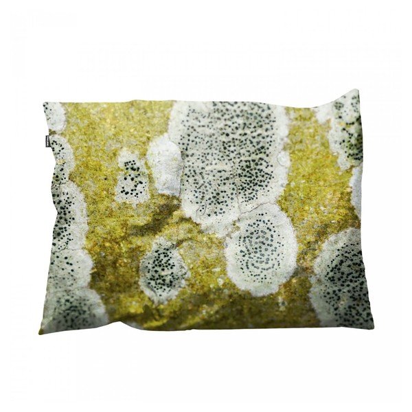 Povlak na polštář Macro Tree, 35x50 cm