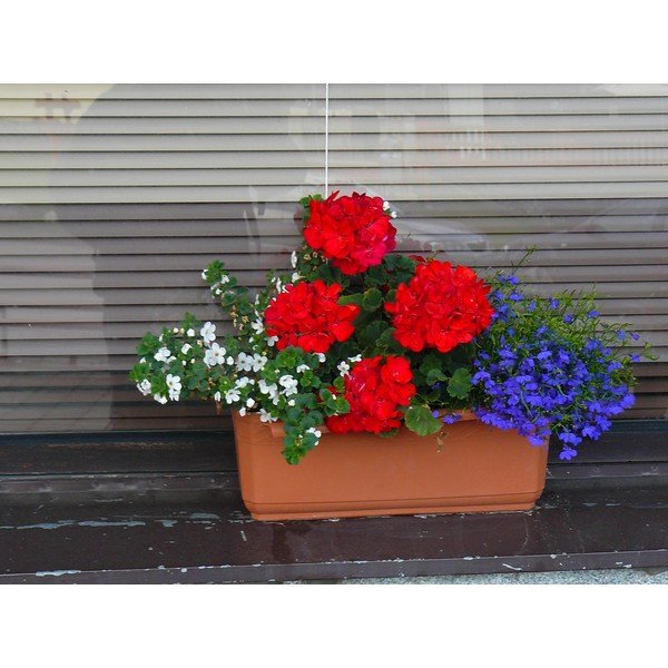 Кафява самонапояваща се саксия, дължина 60 cm Siesta - Plastia-image-1