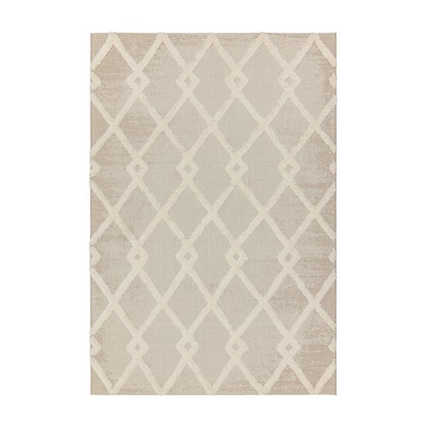 Кремав външен килим 160x230 cm Monty – Asiatic Carpets