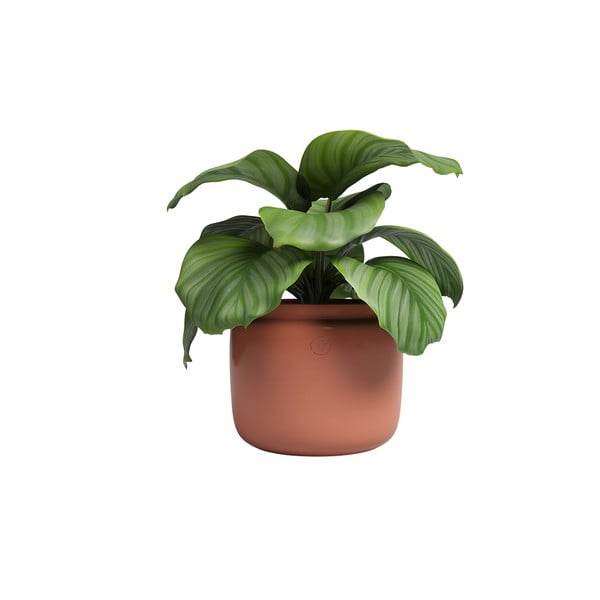 Керамична ръчно изработена саксия за цветя ø 20 cm Astrea – Artevasi-image-4