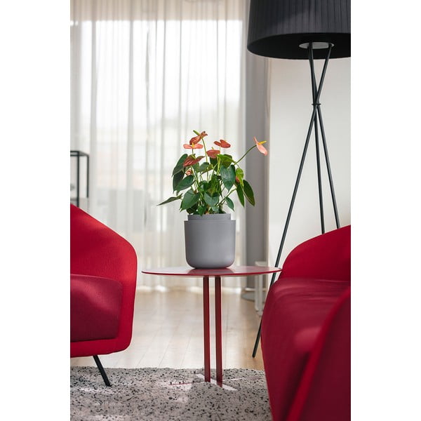 Сива самонапояваща се саксия , ø 19 cm Tolita - Plastia-image-2