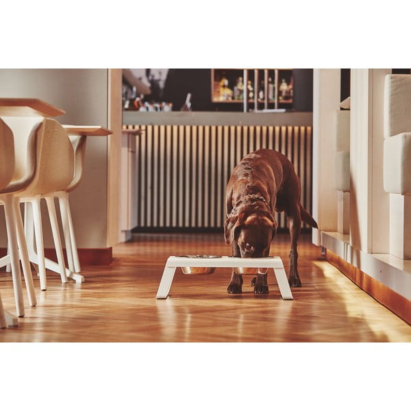 Метален комплект купички с основа за куче Desco White M – MiaCara-image-1