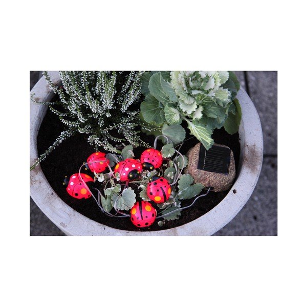 Zahradní světlo Solar Energy 6 Light Lady Bugs-image-3