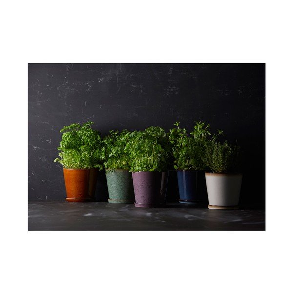 Глинено покритие за кашпа ø 14 cm Gastro Green/Black – Bitz-image-2