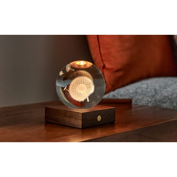 Тъмнокафява светлинна декорация с USB Amber – Gingko-image-1