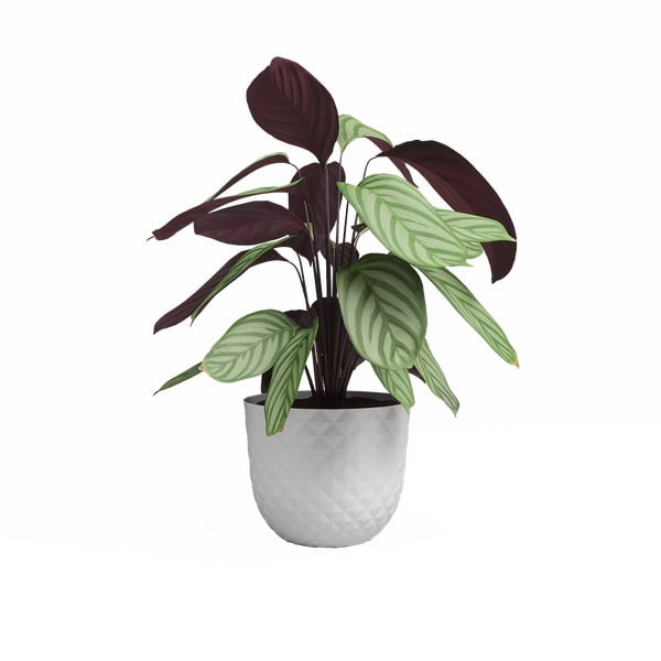 Саксия за цветя от рециклирана пластмаса ø 30 cm Havana – Artevasi-image-2