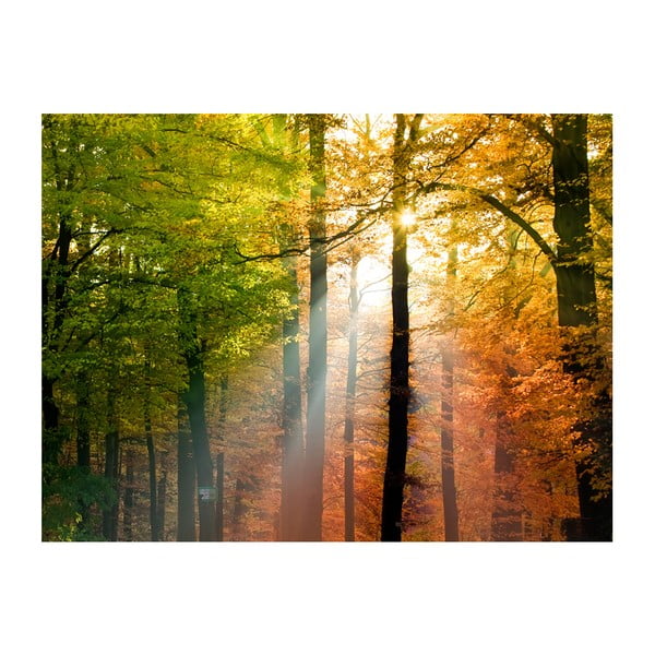Широкоформатен тапет , 200 x 154 cm Beautiful Autumn - Artgeist
