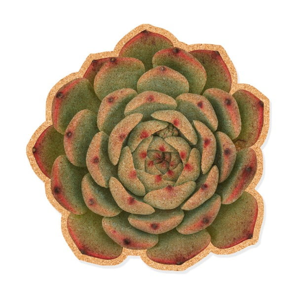 Коркова декоративна дъска Suculenta - Really Nice Things