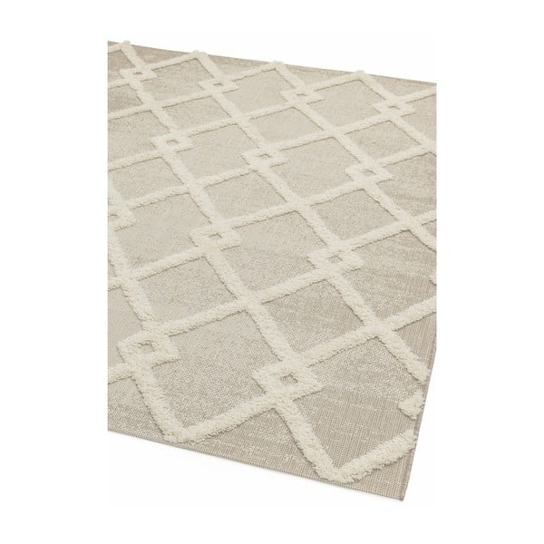 Кремав външен килим 120x170 cm Monty – Asiatic Carpets-image-4