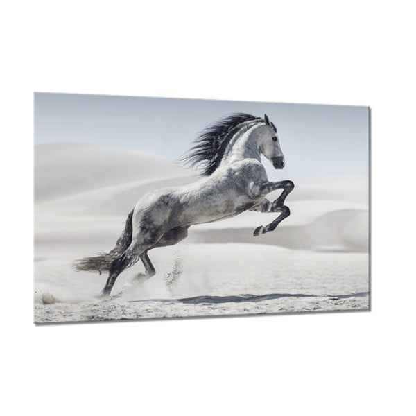 Glasspik Glasspik Animals , 80 x 120 cm Horse - Styler