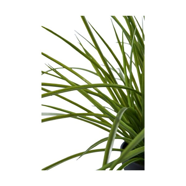 Изкуствена трева (височина 45 cm) – House Nordic-image-3