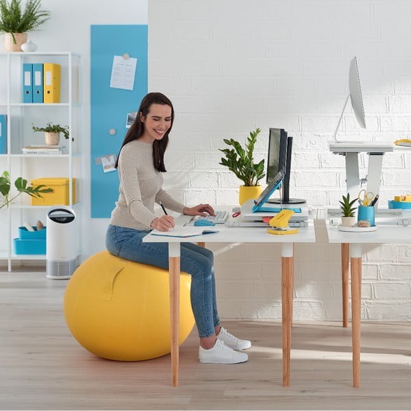 Ергономична топка за сядане ø 65 cm Ergo – Leitz-image-4