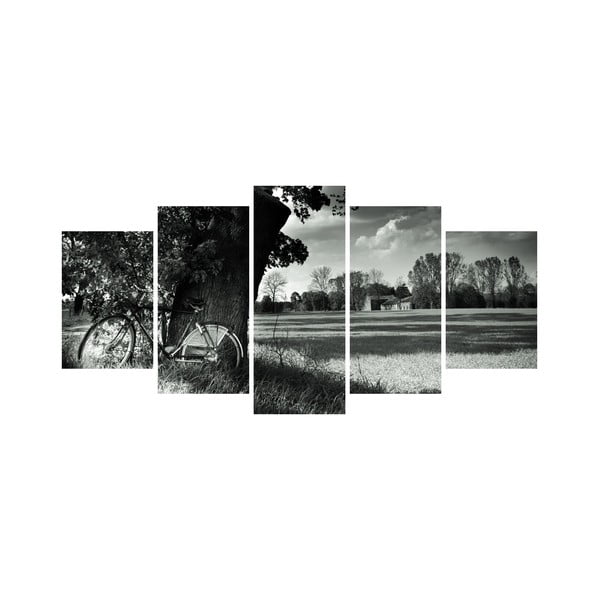 Vícedílný obraz Black&White no. 68, 100x50 cm