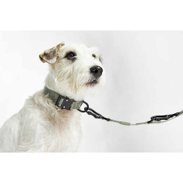 Тъмносив нашийник M/L дължина 35 cm Modena Asphalt M/ML – MiaCara-image-1