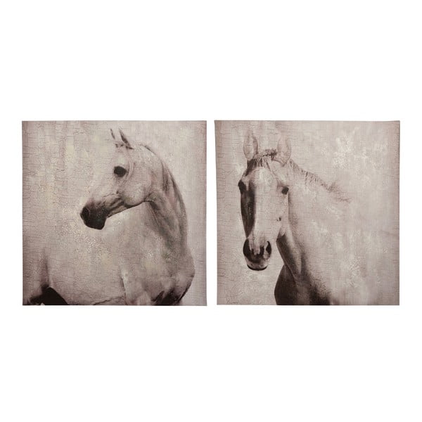 Sada 2 obrazů Horse, 80x80 cm