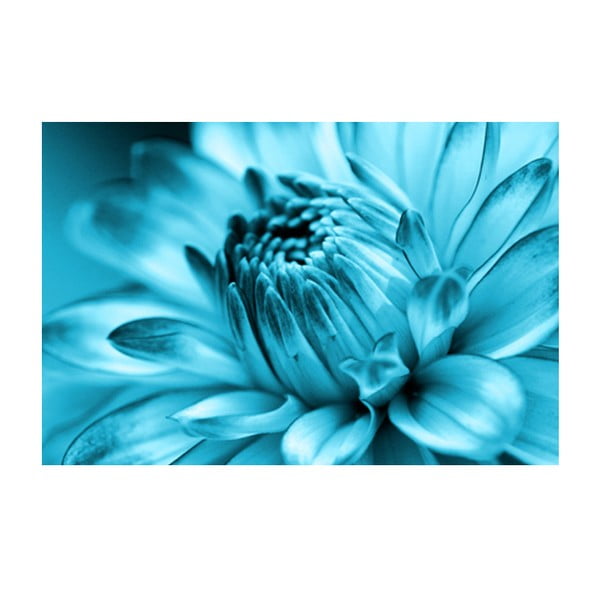 Obraz na skle Modrý květ, 40x60 cm