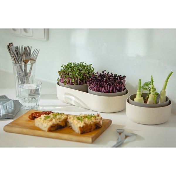 Купа за покълване, ø 16 cm Regrow - Plastia-image-4