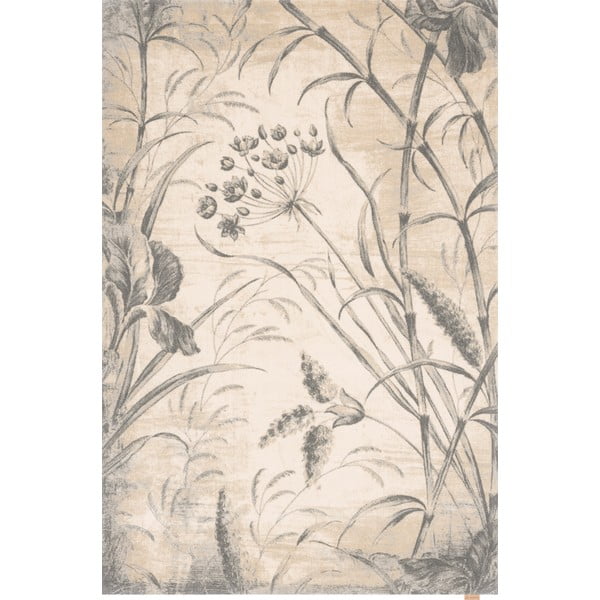Кремав вълнен килим 160x240 cm Botany – Agnella