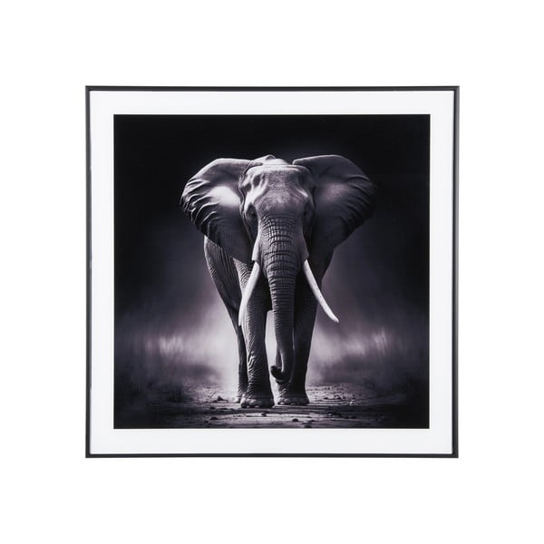 Картина 50x50 cm Elephant - PT LIVING