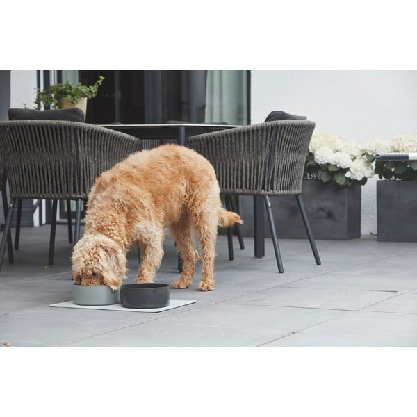 Порцеланова купа за куче ø 16 cm Scodella Graphite S/M – MiaCara-image-1