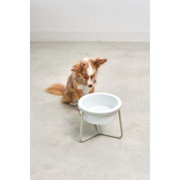 Порцеланова купа с основа за куче ø 20 cm Pranzo Greige M – MiaCara-image-1