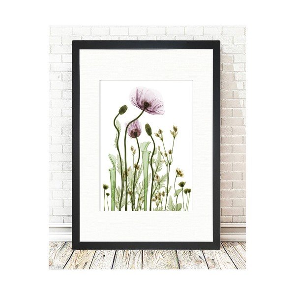 Изображение , 24 x 29 cm Wild Plants - Tablo Center-image-1