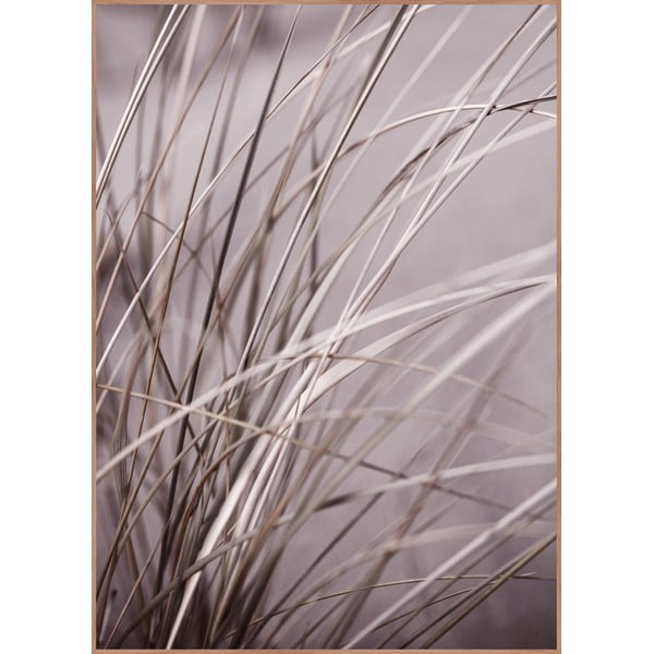 Постер с включена рамка 50x70 cm Mellow Grasses 1 – Malerifabrikken