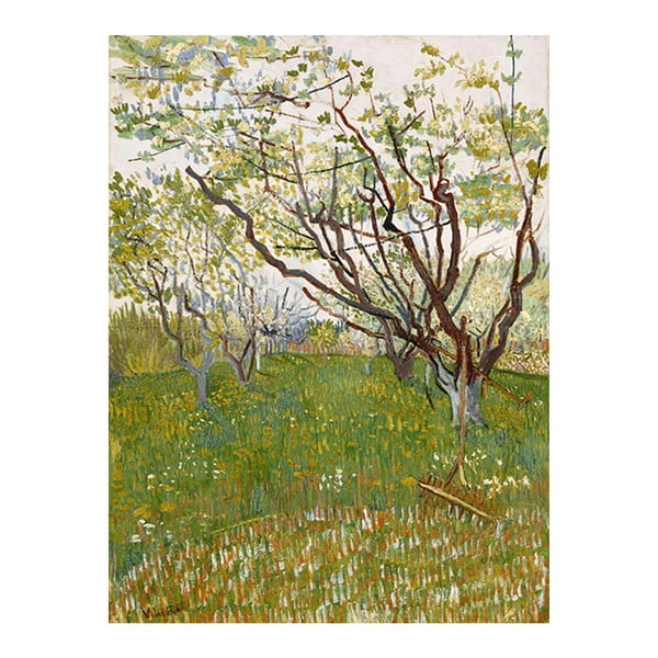 Obraz Vincenta van Gogha - Flowering Orchards, 70x55 cm