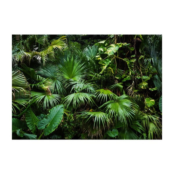 Широкоформатен тапет , 200 x 140 cm Sunny Jungle - Artgeist