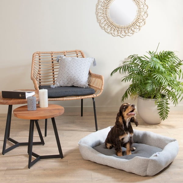 Светлосиво легло за домашни любимци 70x58 cm Graphene – Love Story-image-1