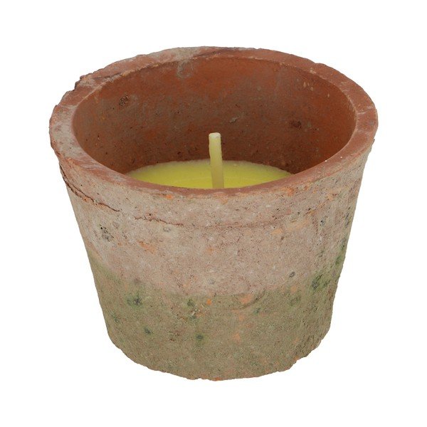 Ароматна свещ с време на горене 10 h Citronelle – Esschert Design-image-3