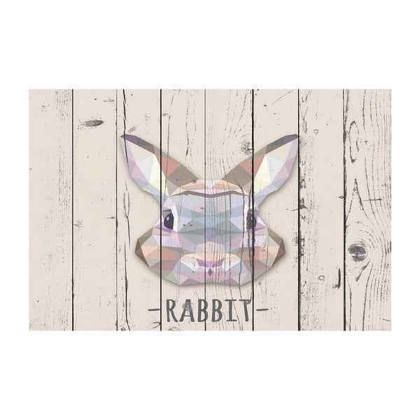 Vinylový koberec Rabbit, 100x150 cm