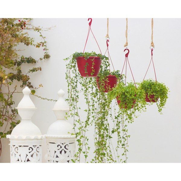 Пластмасова саксия за цветя ø 31 cm Algarve – Artevasi-image-1