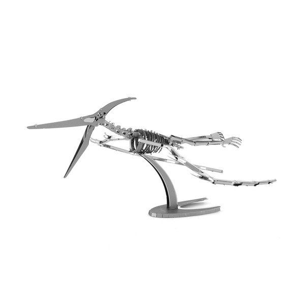Model Pteranodon Skeleton-image-4