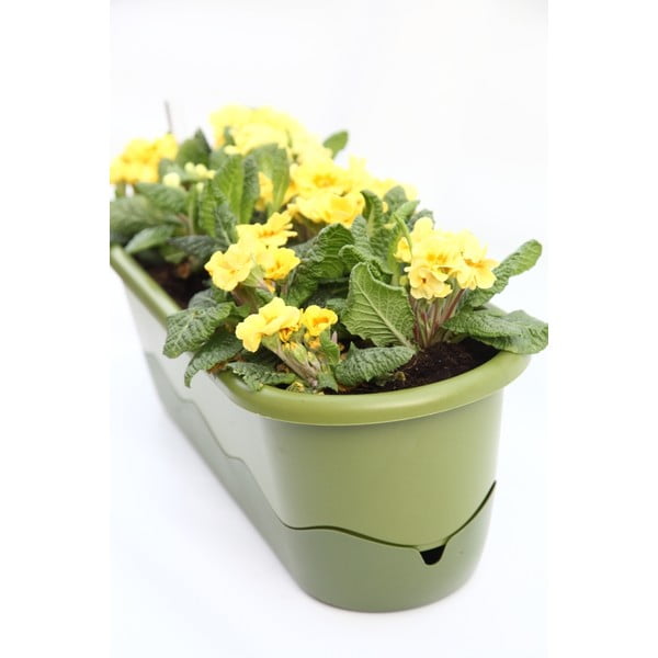 Зелена самонапояваща се саксия Mareta, дължина 80 cm - Plastia-image-2