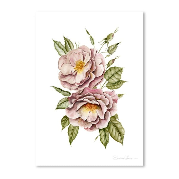 Плакат Matangi Roses от Shealeen Louise, 30 x 42 cm - Americanflat