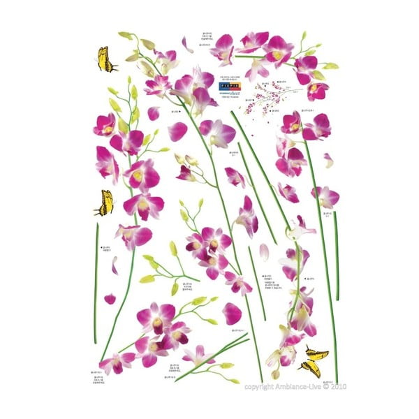 Samolepka Ambiance Orchids Flowers-image-2