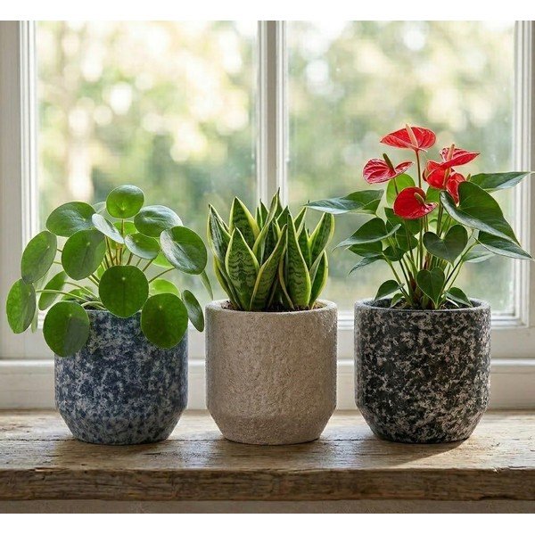 Керамично ръчно изработено покритие за кашпа ø 14 cm Almada – Ego Dekor-image-1